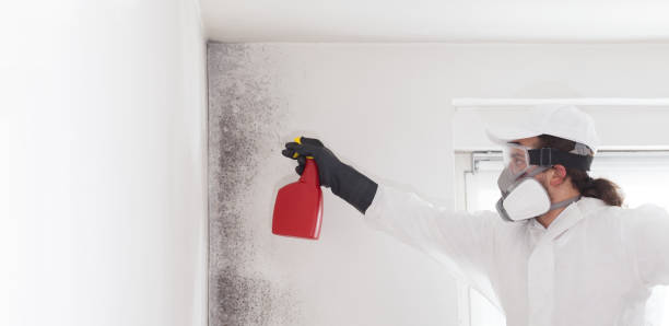 Mold Removal Process in Highland Falls, NY