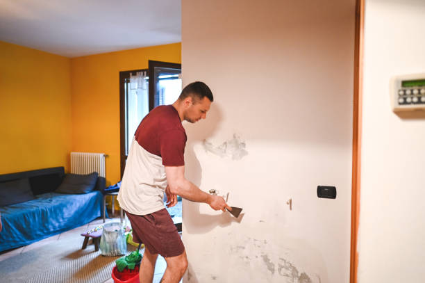 Best Mold Removal and Inspection  in Highland Falls, NY